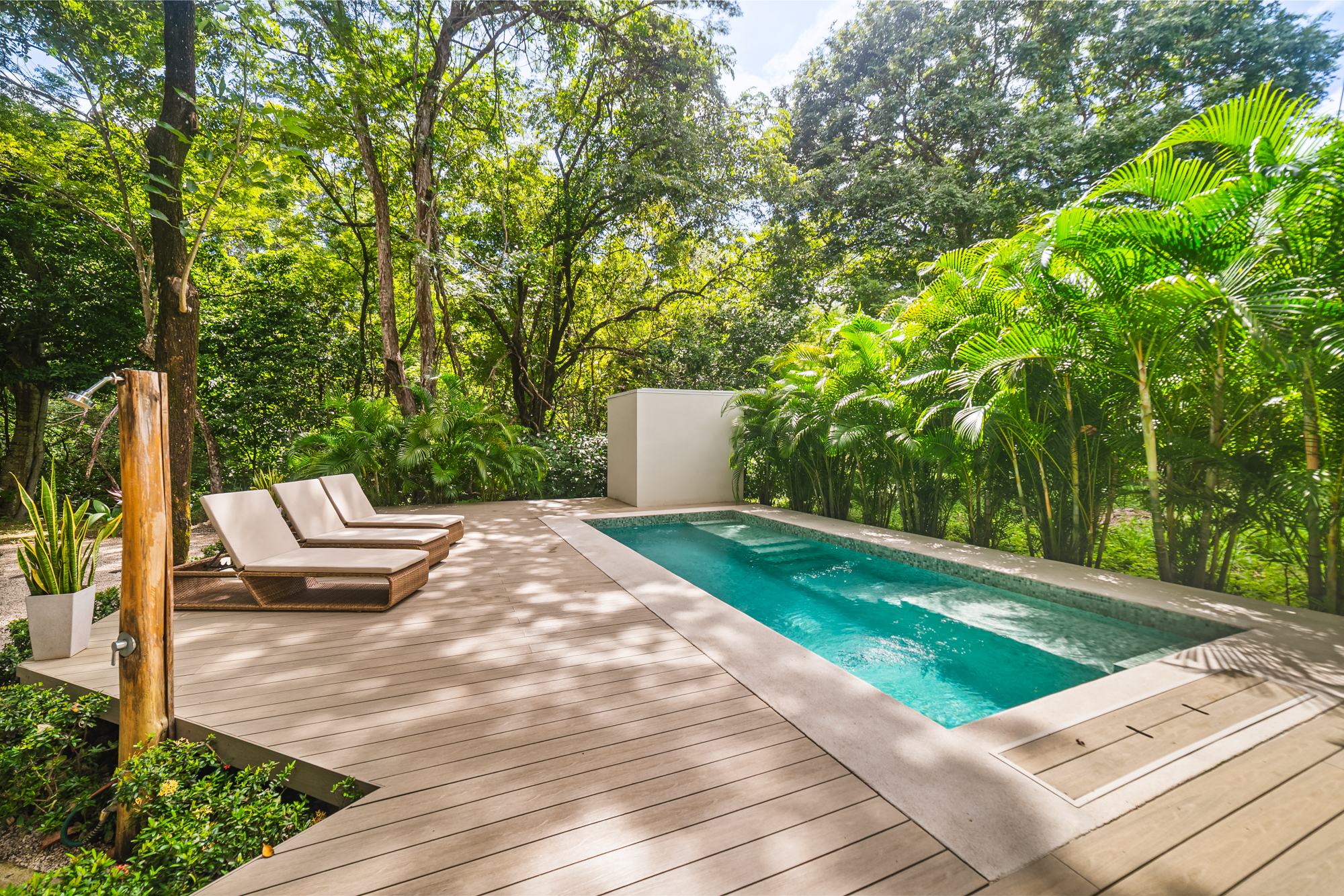 Pool nestled among palm trees and jungle
